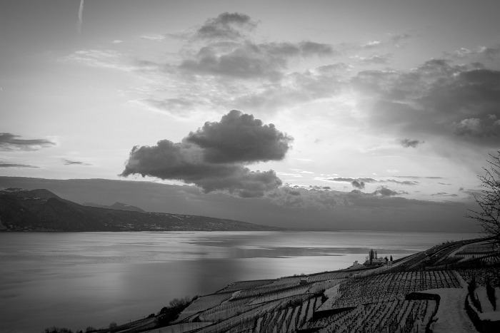 Fin de journée dans le Lavaux - 027